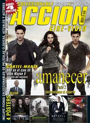 ACCION magazine side cover Issue 246 November 2012