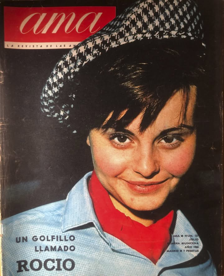 AMA magazine side cover Issue 131  July 1965