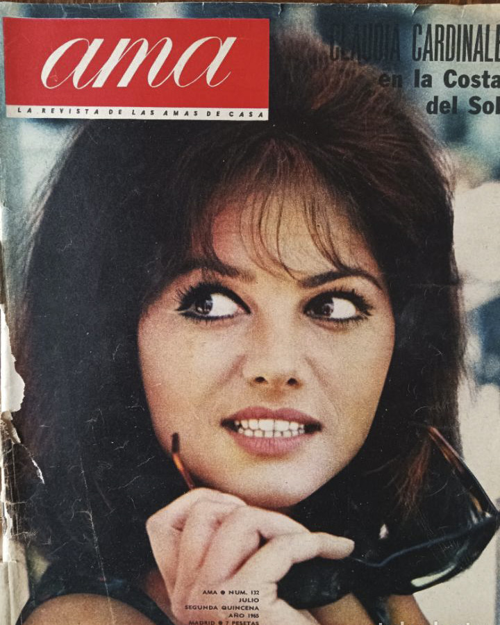 AMA magazine side cover Issue 132  July 1965