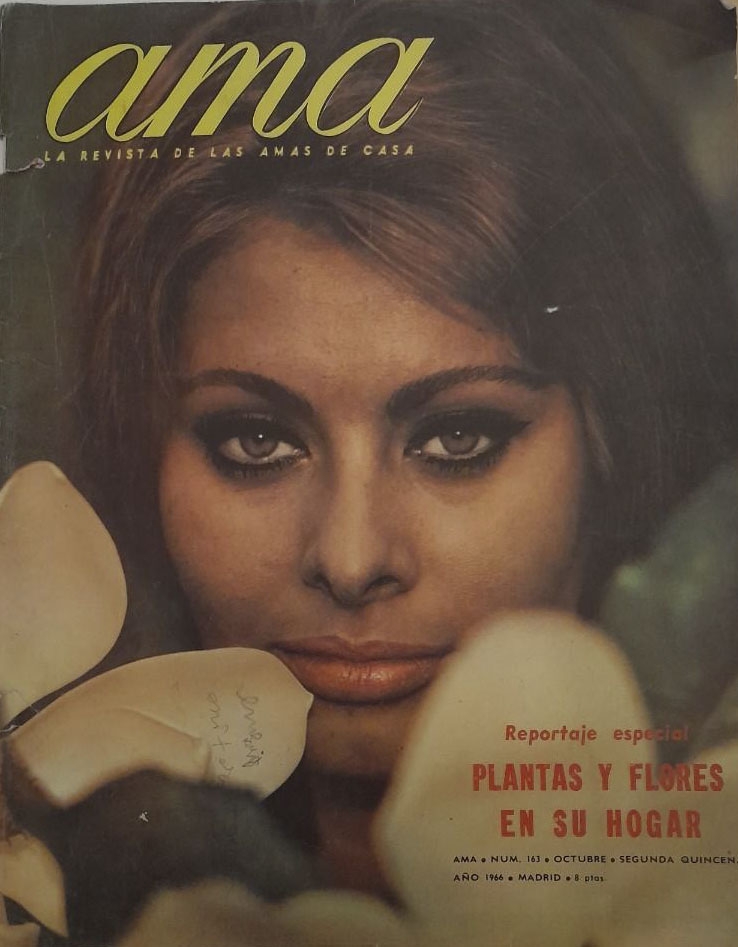AMA magazine side cover Issue 163 October 1966