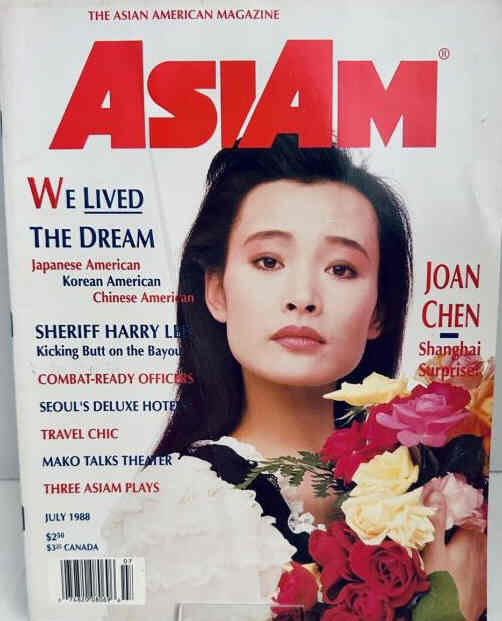 ASIAM magazine side cover  July 1988