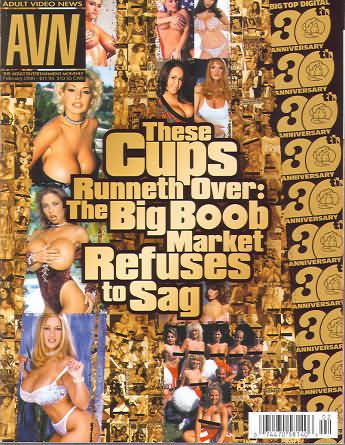 AVN magazine side cover February 2006