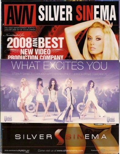 AVN magazine side cover January 2008