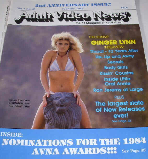 AVN magazine side cover Issue 22  Vol 1 No 22 February 1985