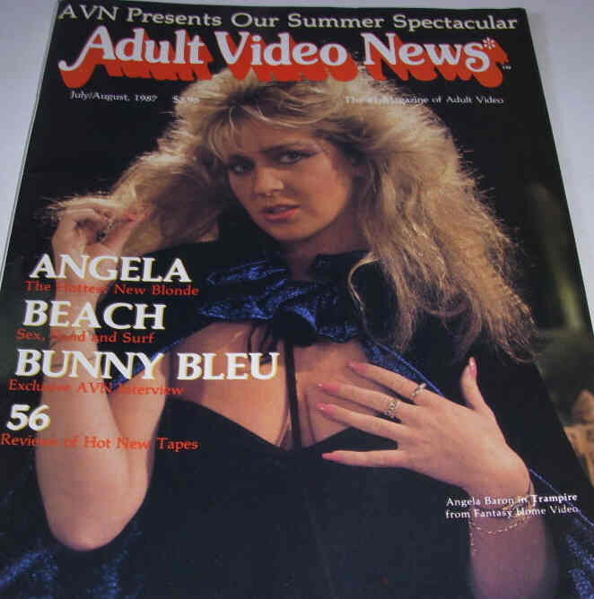 AVN magazine side cover July/August 1987