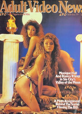 AVN magazine side cover Issue 103 November 1991
