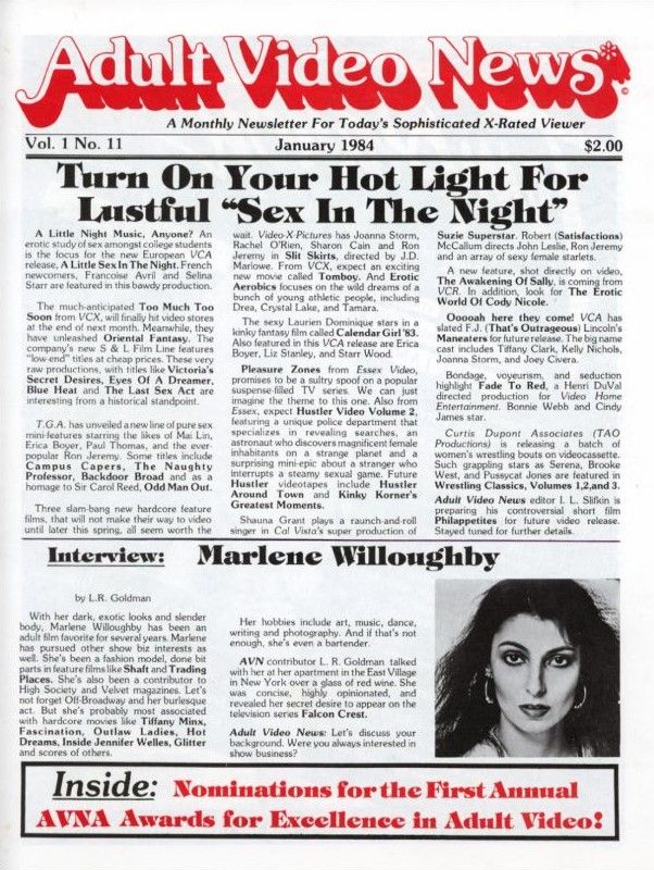 AVN magazine side cover  Vol 1 No  11  January 1984