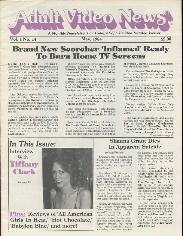 AVN magazine side cover  Vol 1 No  14  May 1984