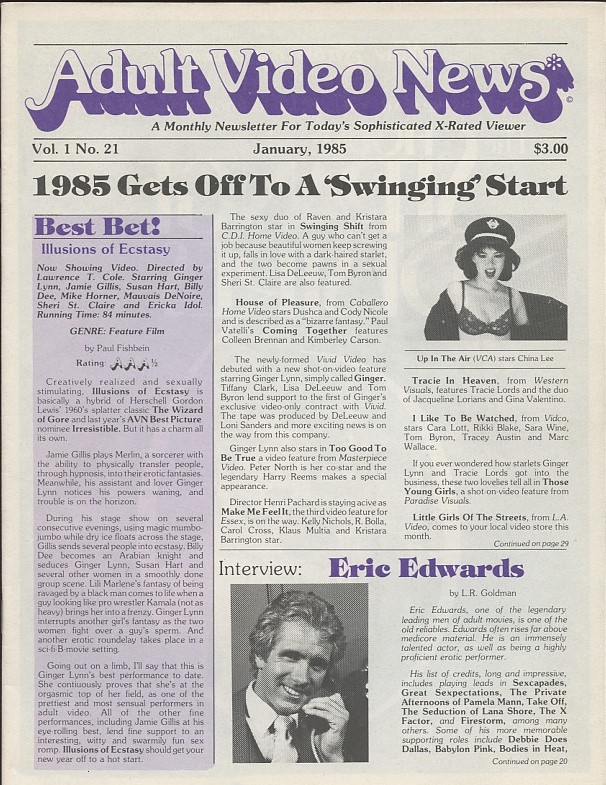 AVN magazine side cover Issue 21  Vol 1 No 21  January 1985