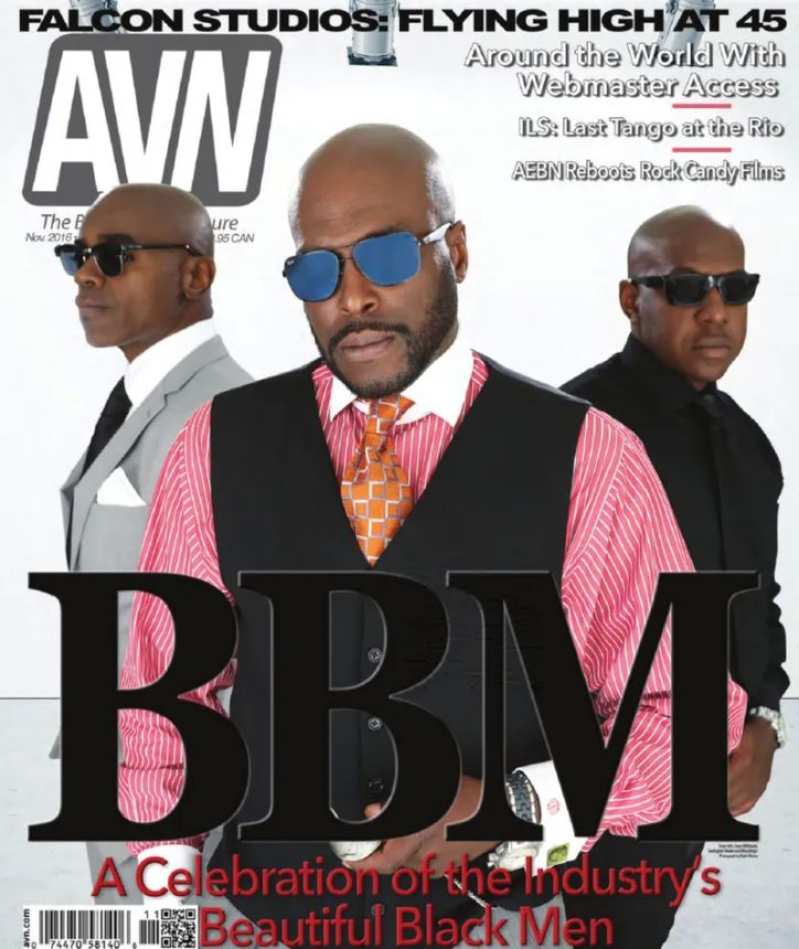 AVN magazine side cover November 2016