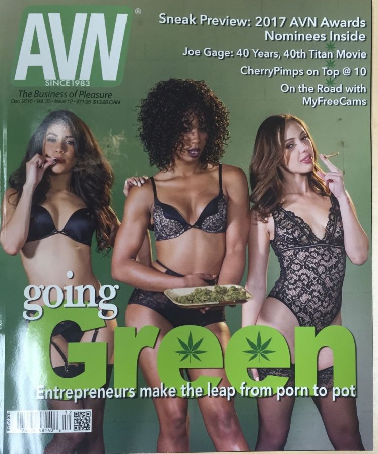 AVN magazine side cover December 2016