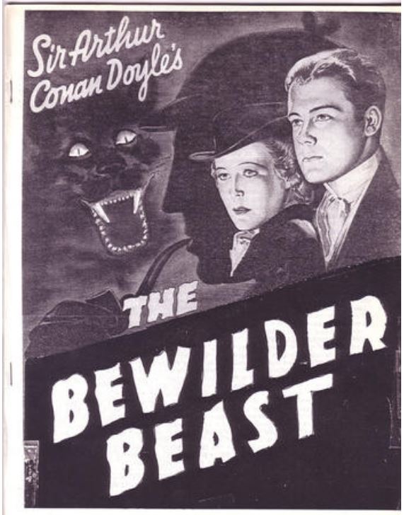 BEWILDERBEAST magazine side cover Issue 4  1984