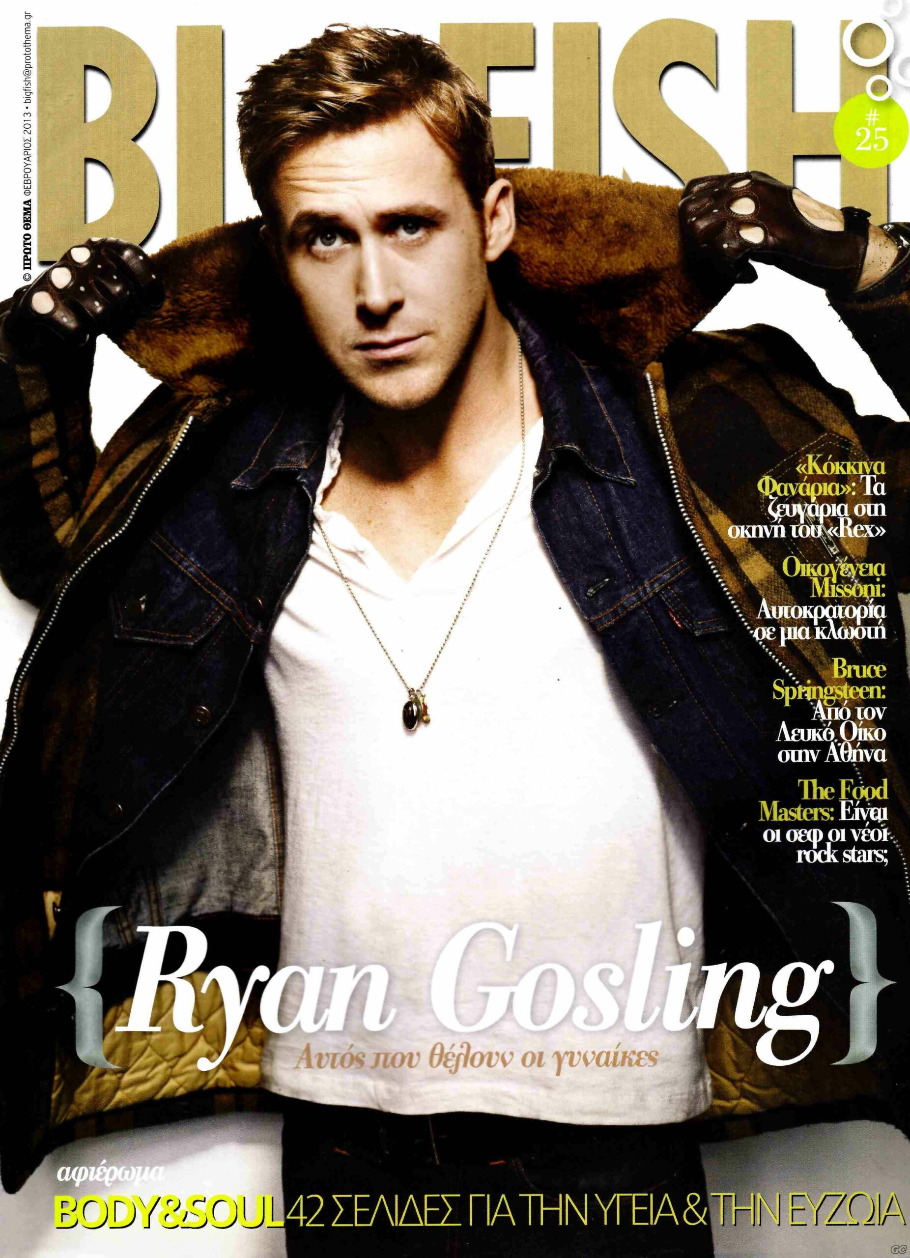 BIG FISH magazine side cover Issue 25 1 February 2013