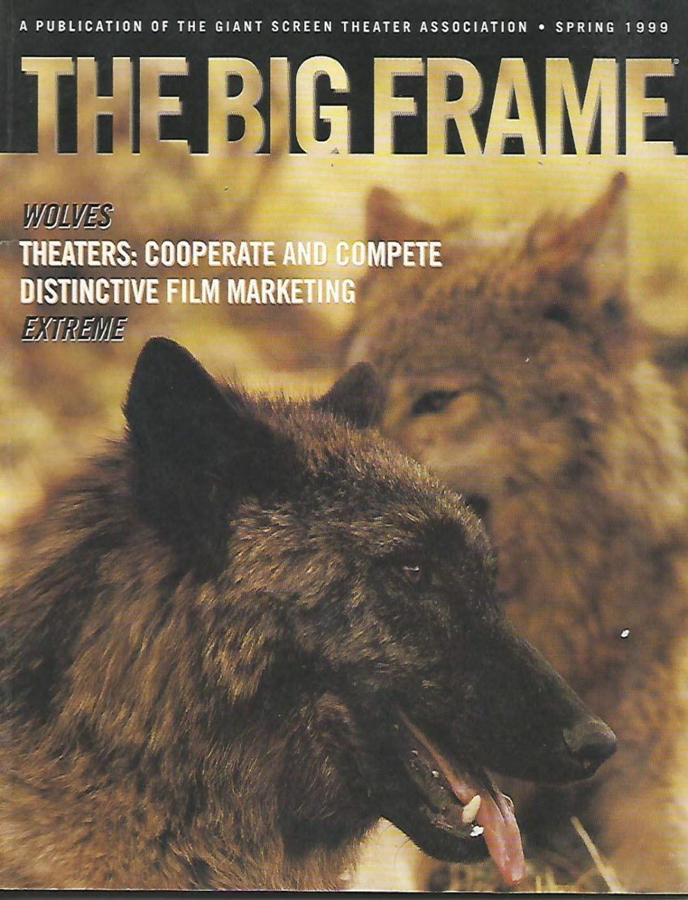 BIG FRAME magazine side cover  Vol 16 No  2 Spring 1999