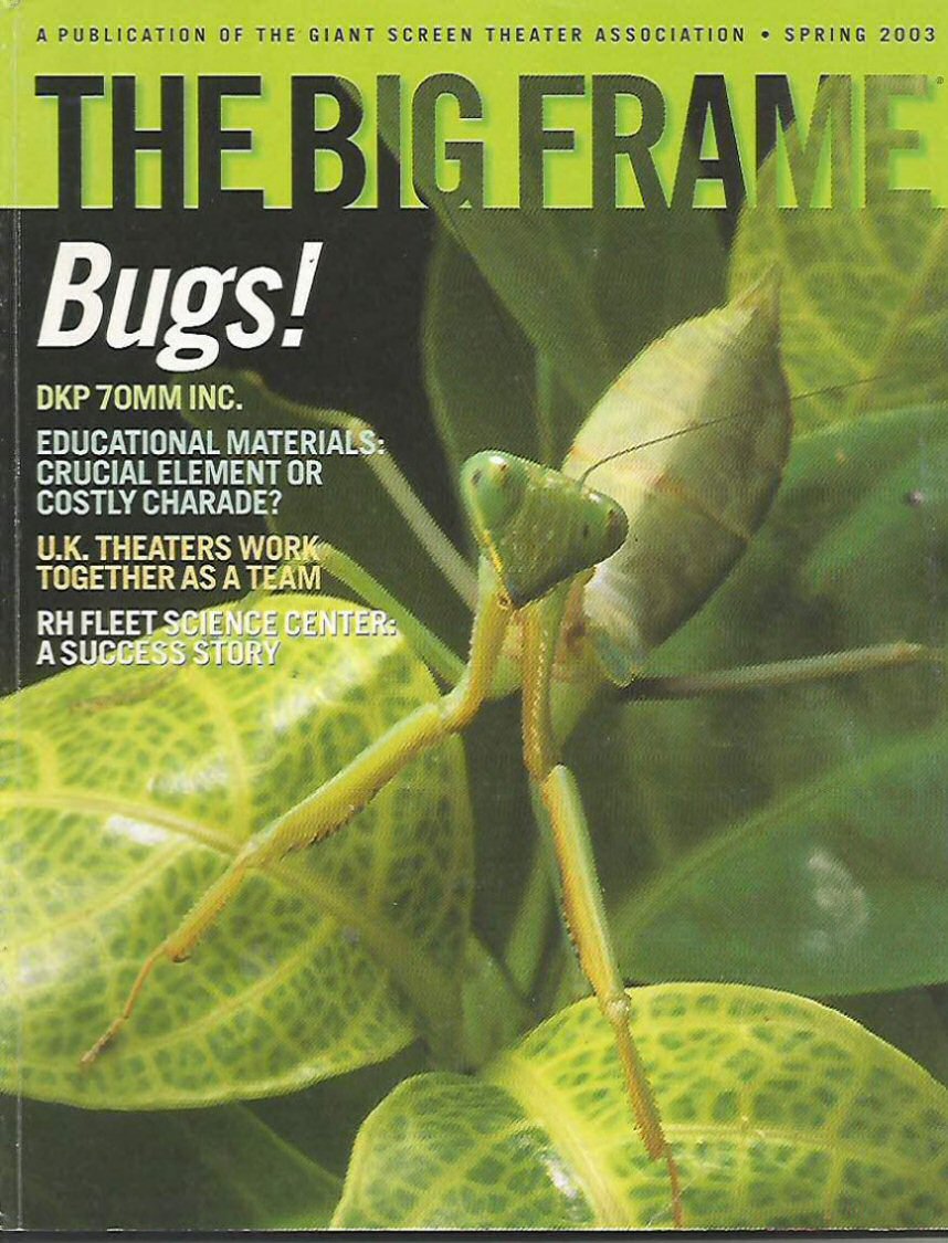 BIG FRAME magazine side cover  Vol 20 No  2 Spring 2003