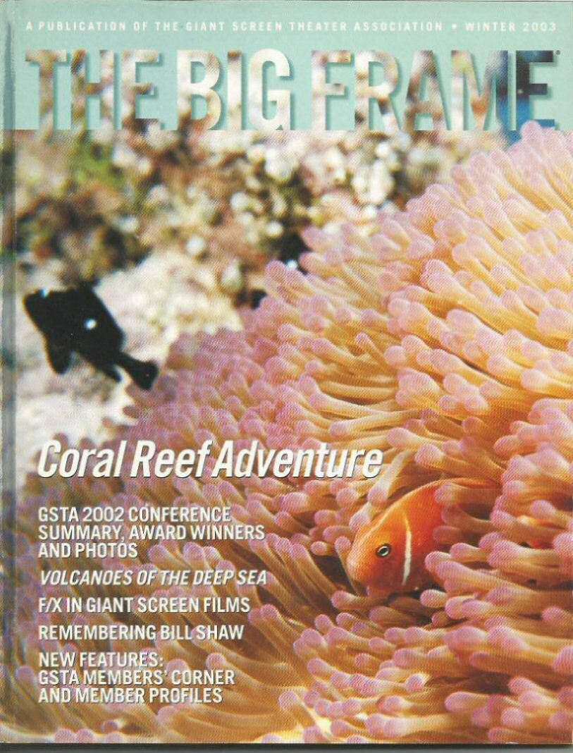 BIG FRAME magazine side cover  Vol 20 No  1 Winter 2003