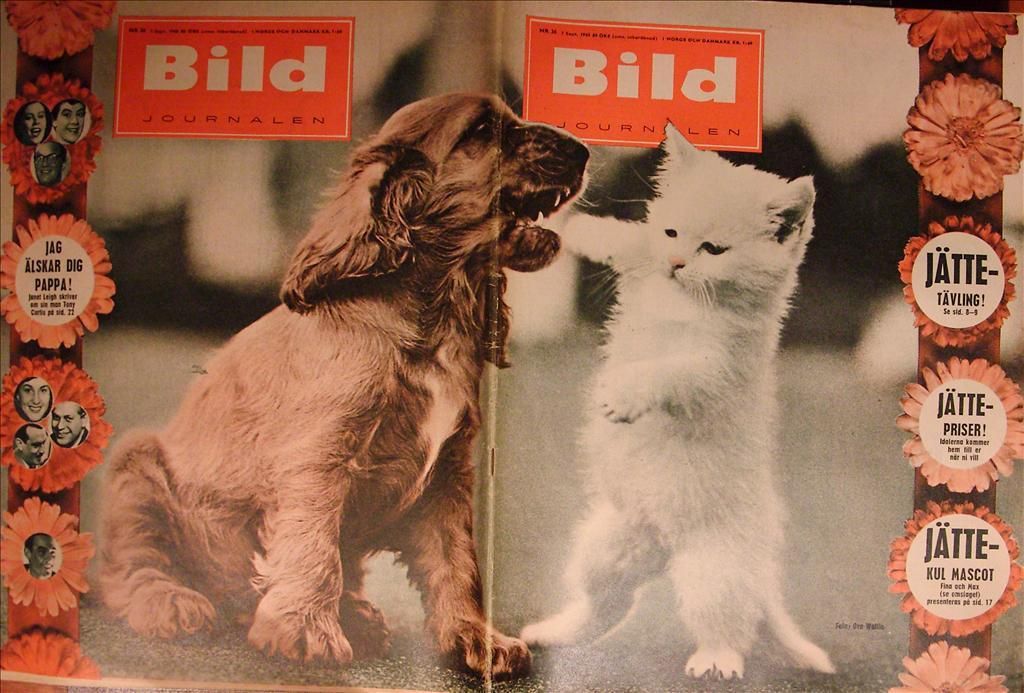 BILDJOURNALEN magazine side cover Issue 36  1960