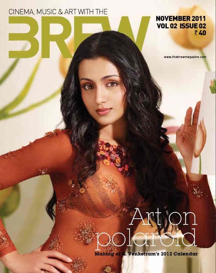 BREW magazine side cover November 2011