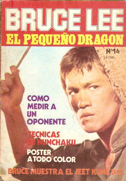 BRUCE LEE magazine side cover Issue 14 June 1978