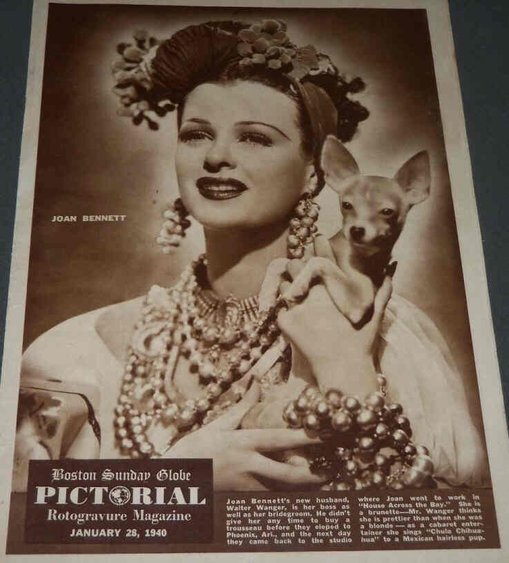 BOSTON SUNDAY GLOBE PICTORIAL magazine side cover 28 January 1940