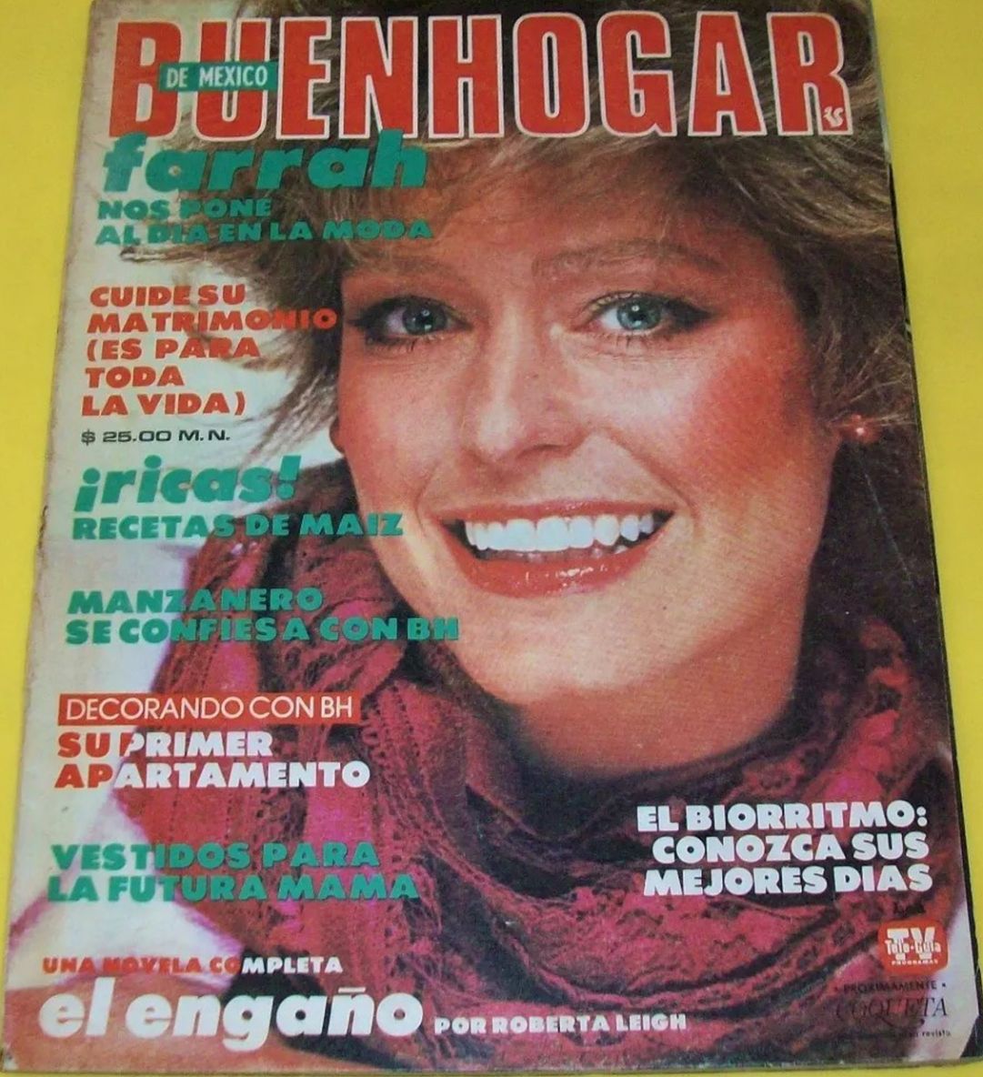 BUENHOGAR (MX) magazine side cover  March 1979
