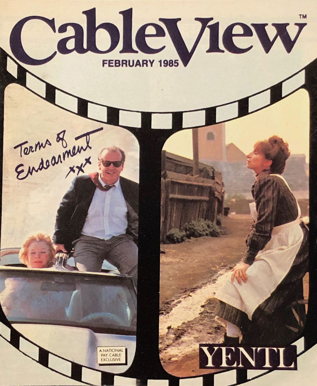 CABLEVIEW magazine side cover  February 1985