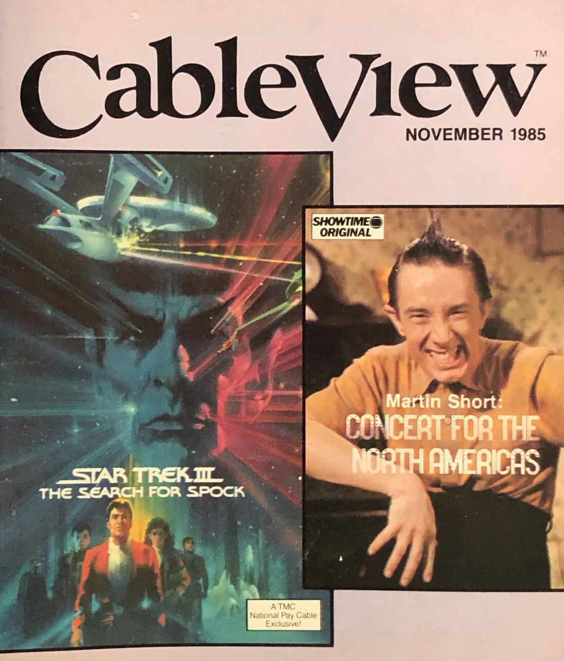 CABLEVIEW magazine side cover  November 1985