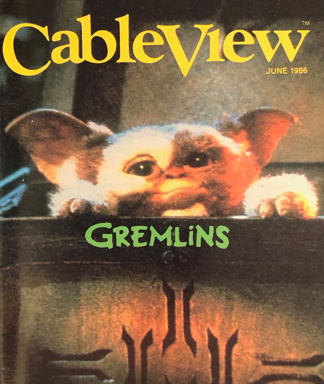 CABLEVIEW magazine side cover  June 1986