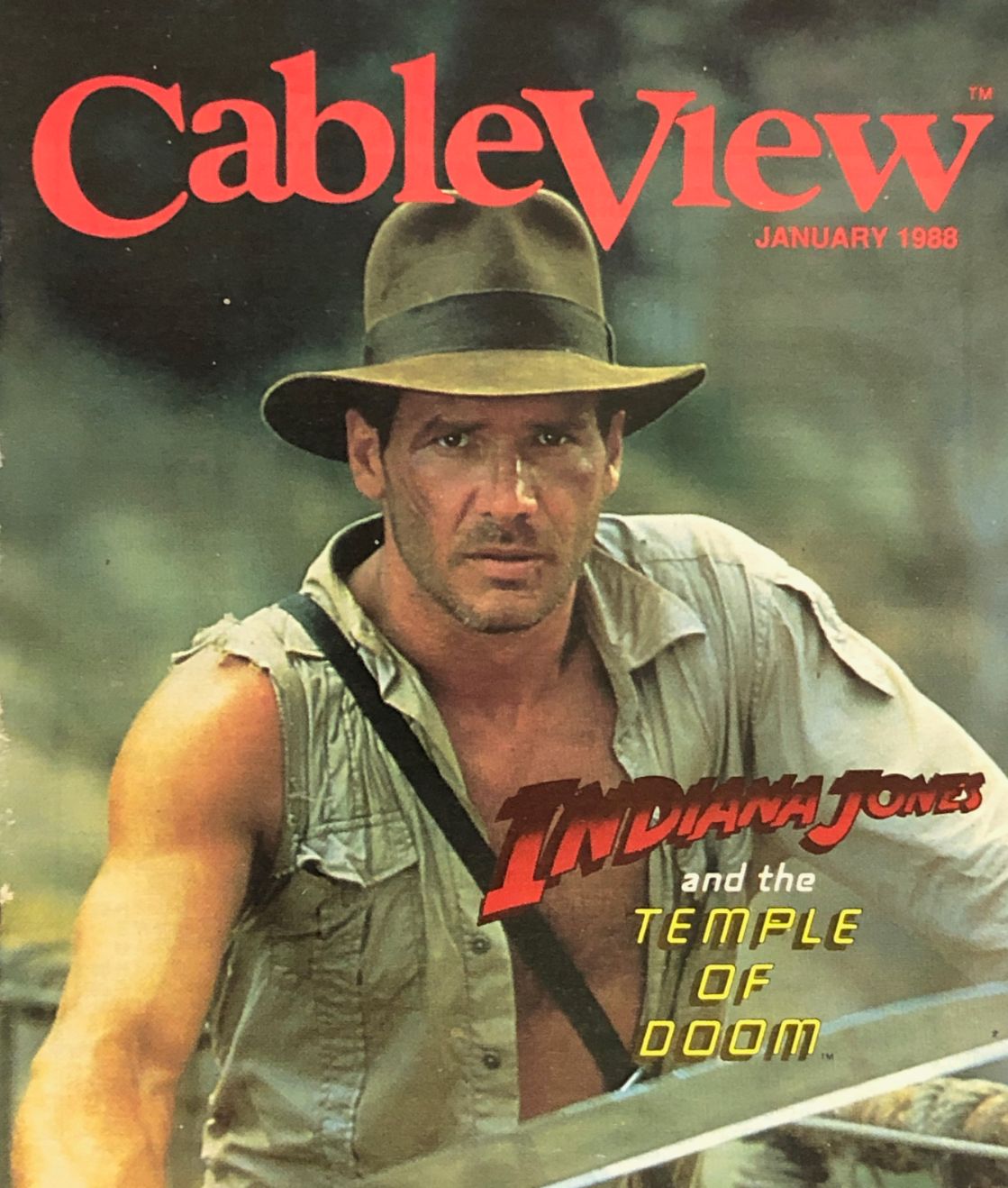 CABLEVIEW magazine side cover  January 1988