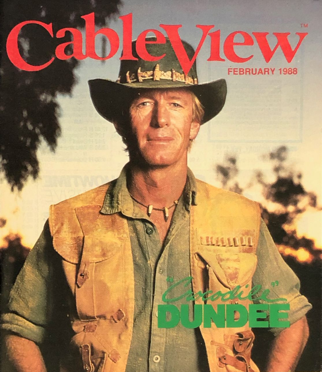 CABLEVIEW magazine side cover  February 1988