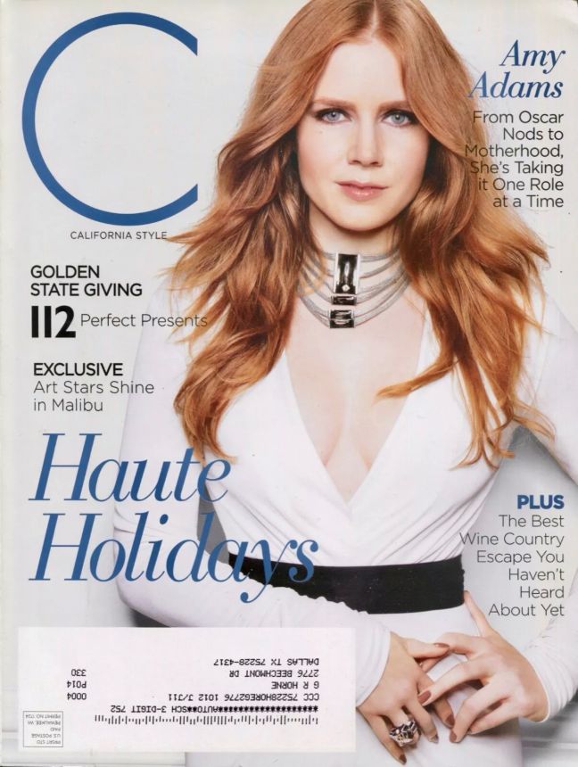 C CALIFORNIA STYLE magazine side cover  December 2010