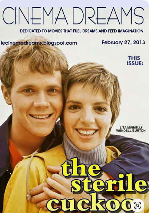 CINEMA DREAMS magazine side cover 27 February 2013