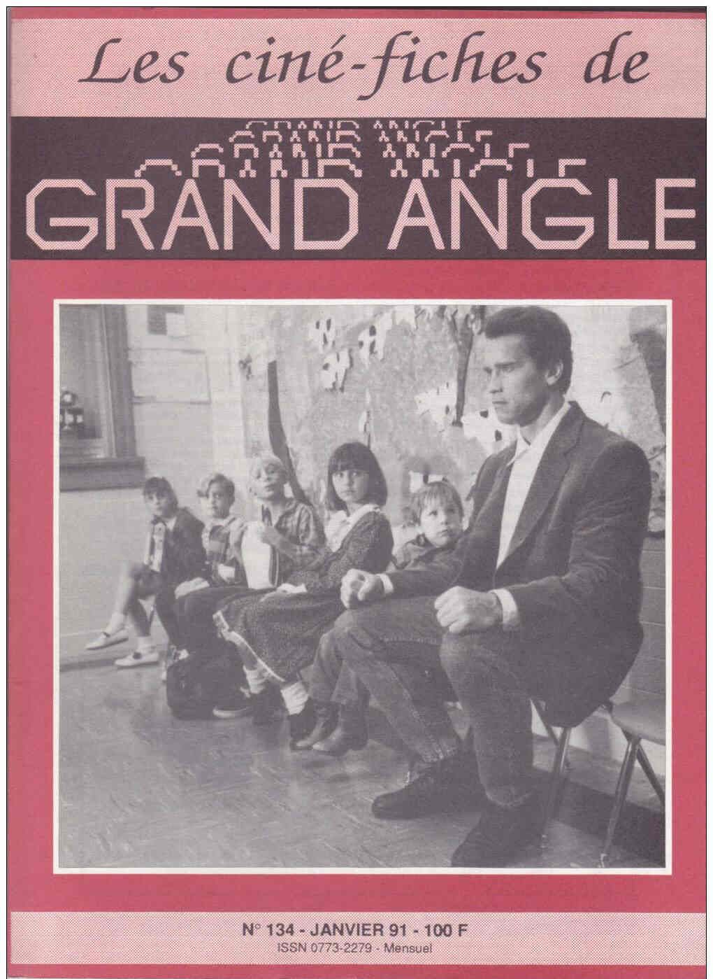 CINE-FICHES DE GRAND ANGLE | LES magazine side cover Issue 134 January 1991