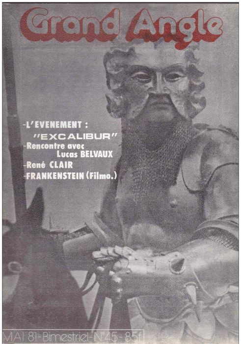CINE-FICHES DE GRAND ANGLE | LES magazine side cover Issue 45 May 1981