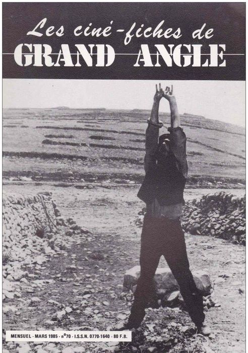 CINE-FICHES DE GRAND ANGLE | LES magazine side cover Issue 70 March 1985