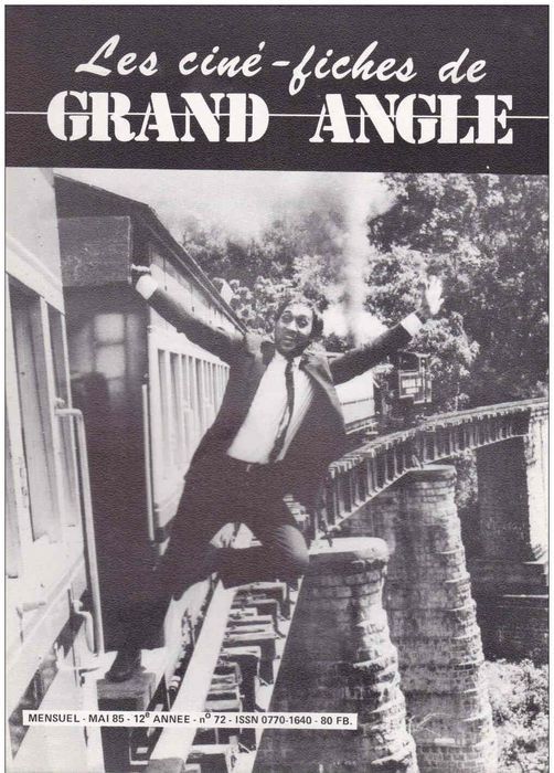 CINE-FICHES DE GRAND ANGLE | LES magazine side cover Issue 72 May 1985