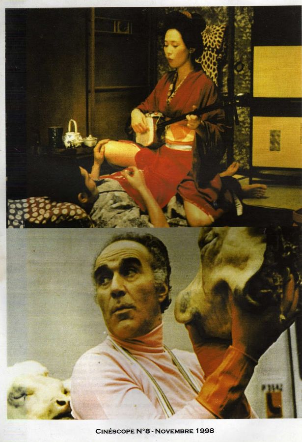 CINESCOPE/CINETRANGE magazine side cover Issue 8 November 1998