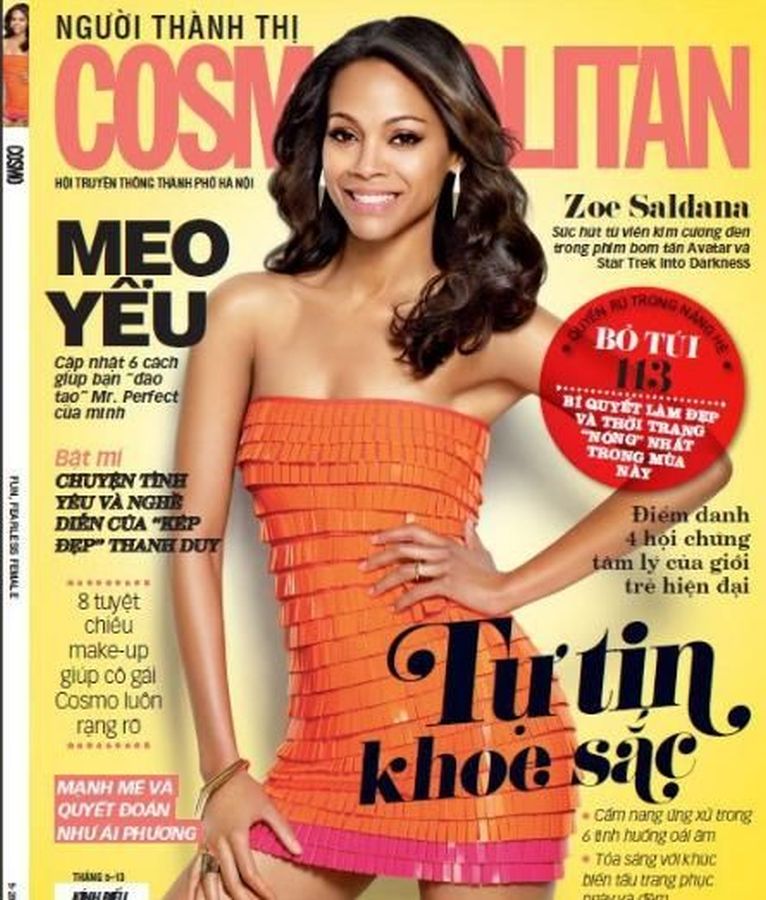 COSMOPOLITAN VIET NAM magazine side cover  April 2013