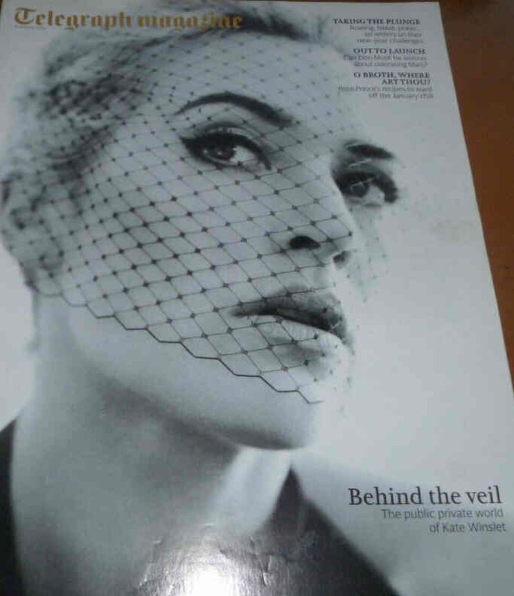 DAILY TELEGRAPH MAGAZINE magazine side cover 4 January 2014