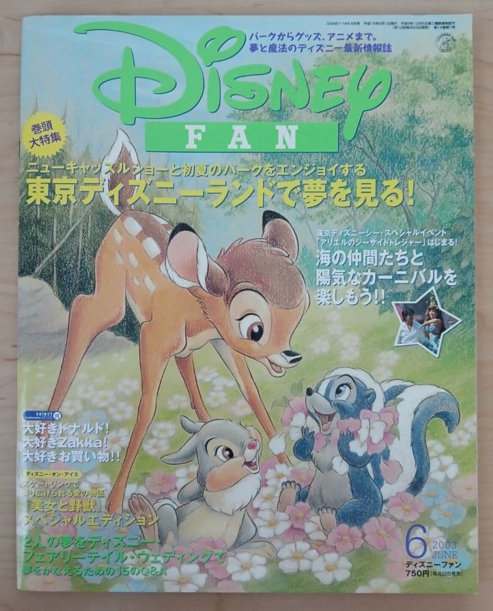 DISNEY FAN magazine side cover  June 2003