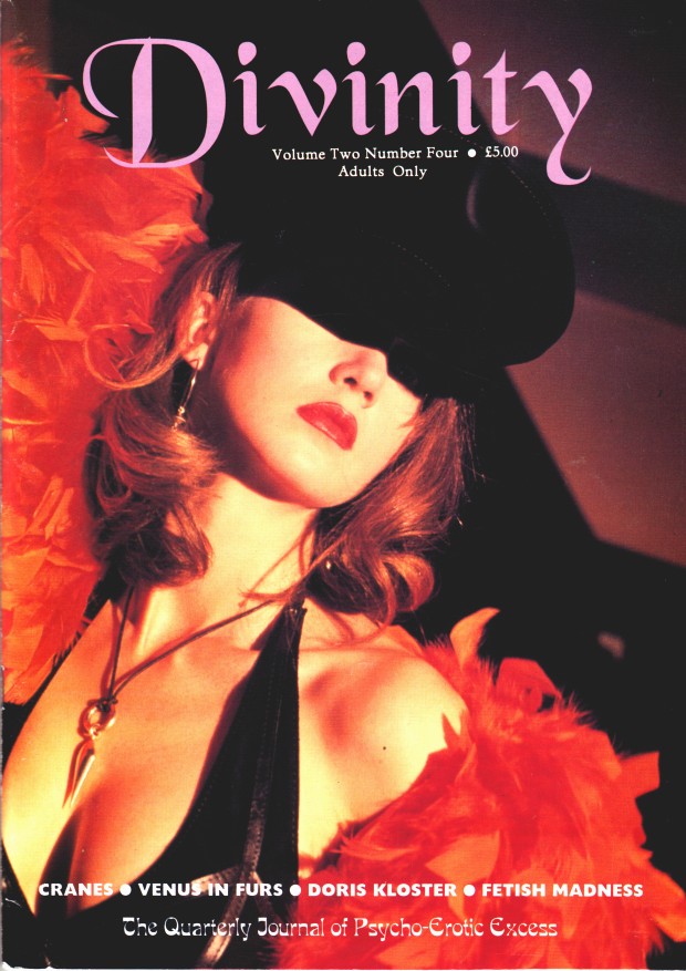 DIVINITY magazine side cover Issue 8  Vol 2 # 4 Fall 1994