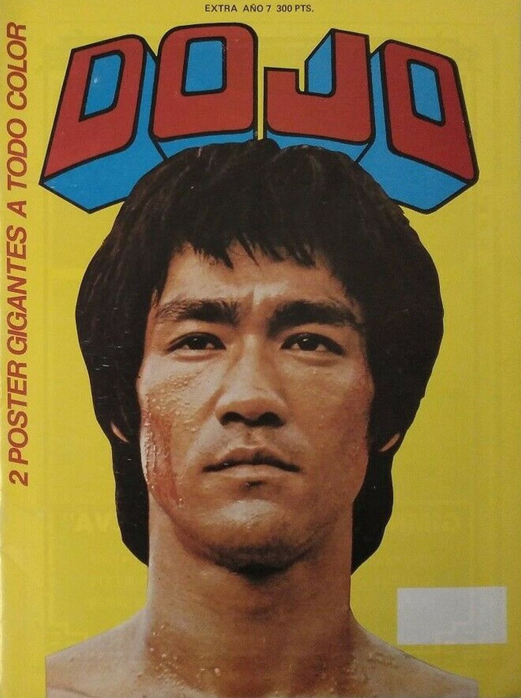 DOJO magazine side cover Issue 7  Special   1984