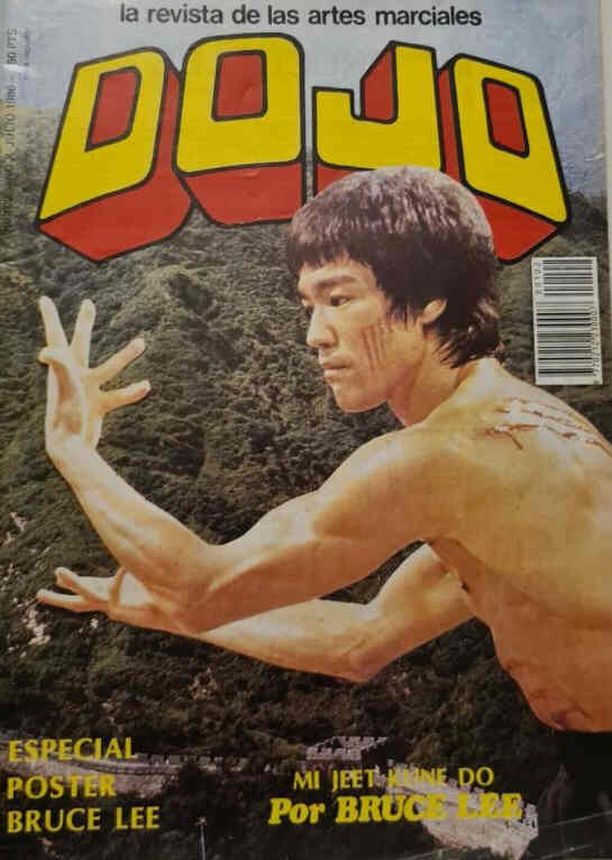 DOJO magazine side cover Issue 102  July 1986