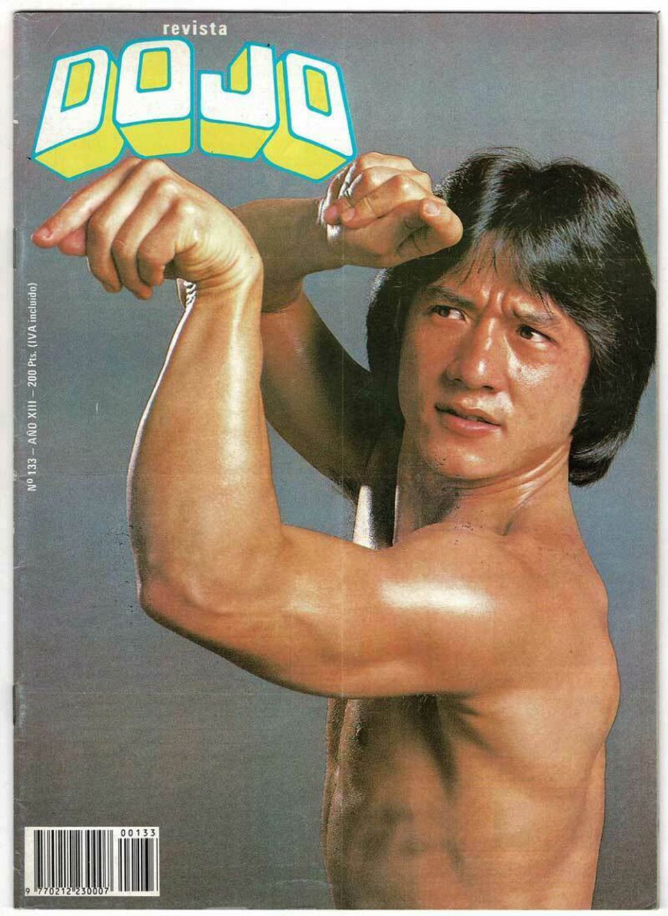 DOJO magazine side cover Issue 133   1990