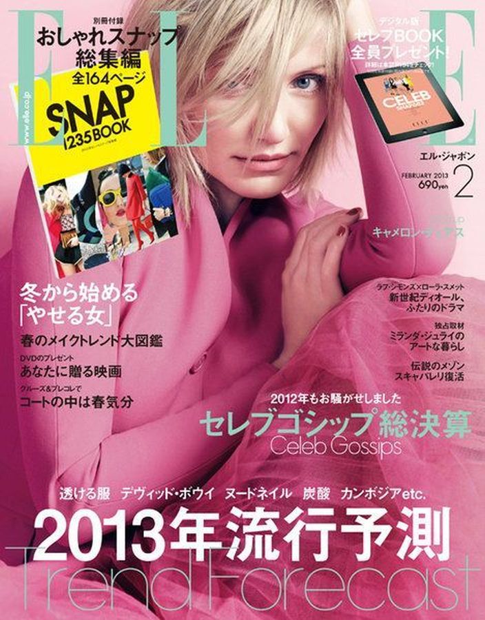 ELLE JAPAN magazine side cover  February 2013