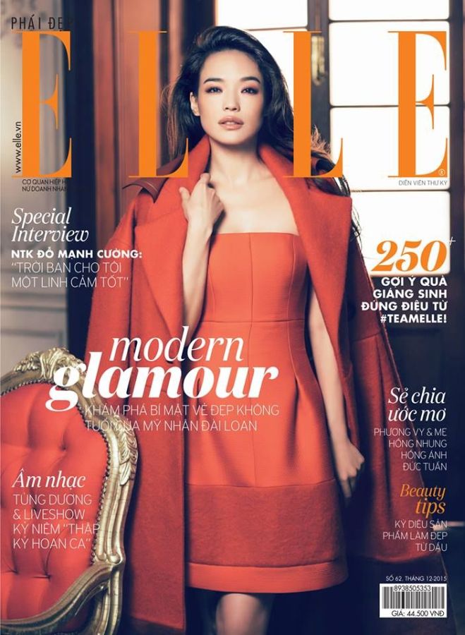 ELLE VIETNAM magazine side cover  December 2015