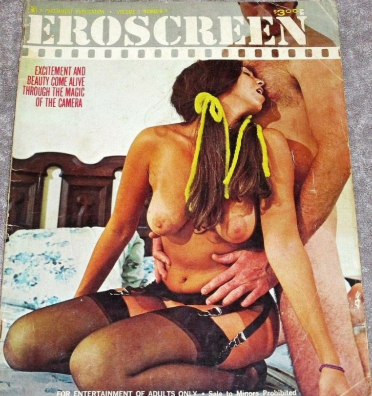 EROSCREEN magazine side cover  Vol 3 No  2   1973