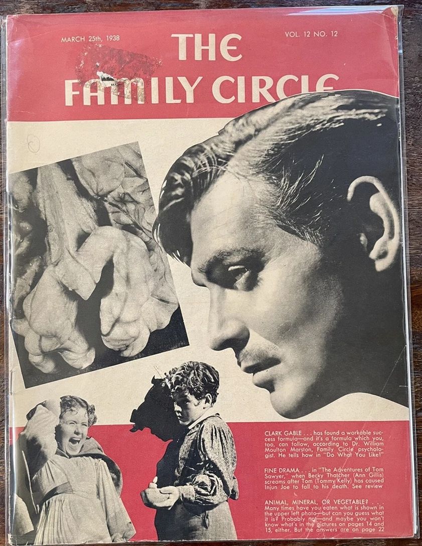 THE FAMILY CIRCLE magazine side cover 25 March 1938