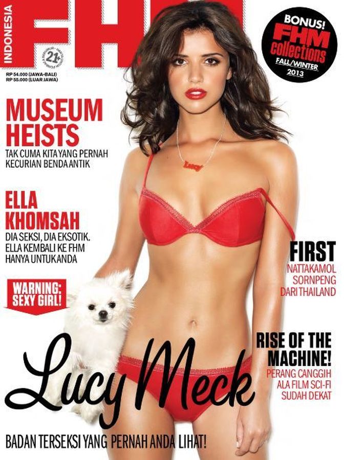 FHM INDONESIA magazine side cover  November 2013