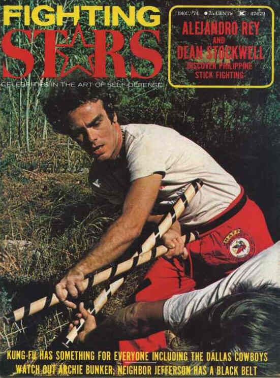 FIGHTING STARS magazine side cover Issue 8  Vol 1 # 8 December 1974